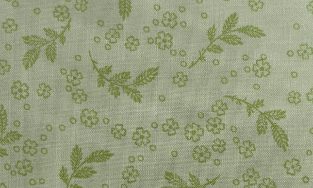 Robert Kaufman / Georgina – Honeydew Flowerhouse Collection  (½ yd)
