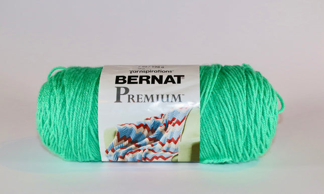 Bernat Premium Yarn - Tropical Turquoise - Medium 4