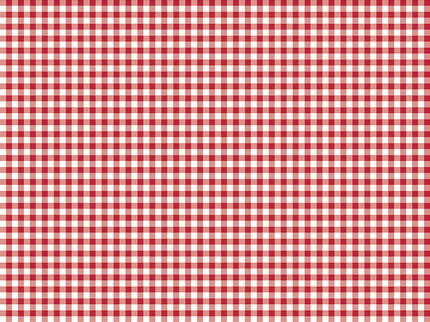 Riley Blake /Little Ladybugs Gingham Red by Lori Whitlock (1/2 Yard)