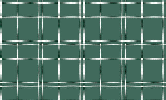 Riley Blake/ The North Pole -Plaid Forest by My Minds Eye 1/2 Yard